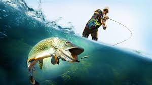 fishing