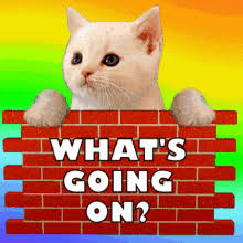 going on